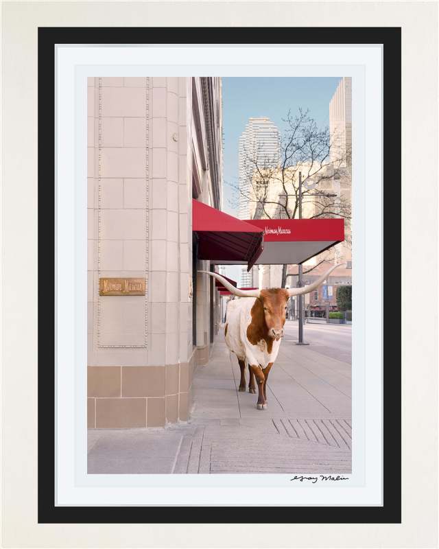 "The Longhorn Vertical, Neiman Marcus, Downtown Dallas" Framed Fine Art Photography Print
